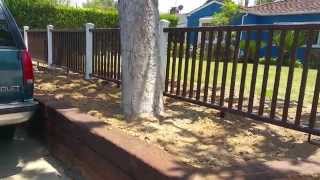 Danger!  Don't Do This To Your Trees