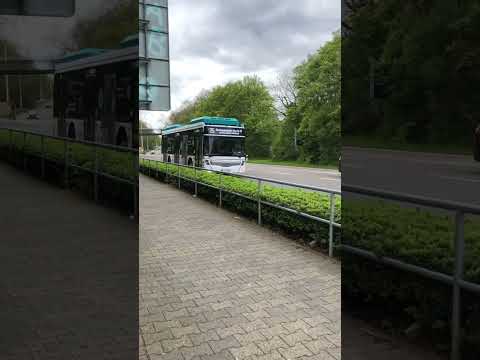 Bus #amagaming #ama #vgf #icb