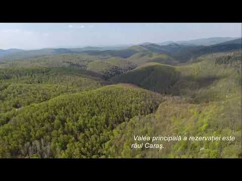 Rezervatia Naturală Izvoarele Carasului  din Parcul National Semenic cheile Carasului !
