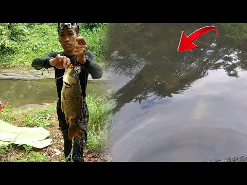 SE03EP058 - SUMASABAY sa AGOS ang MALALAKING KARPA ( catch & Cook ) San Pablo City, Laguna