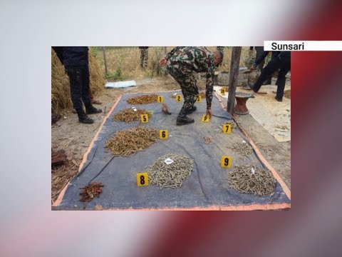 ५ वटा एसएमजी सहित ठूलो परिमाणमा गोली भेटिए - NEWS24 TV