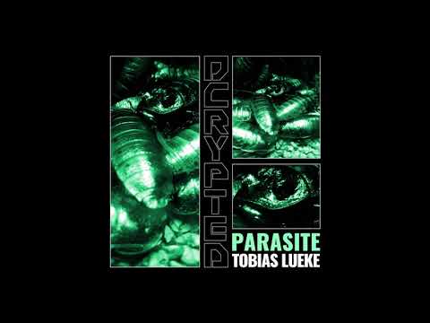 Tobias Lueke  - Turbulence (Original Mix)