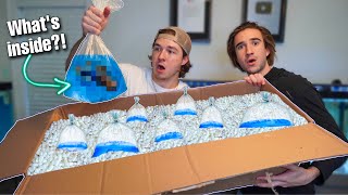 WE TRIED ORDERING LIVE FISH THRU The MAIL... (unboxing)