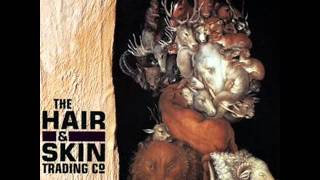 The Hair & Skin Trading cº - Torque