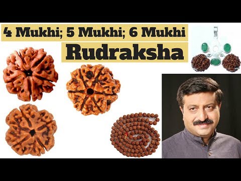 Different Types of Rudraksha