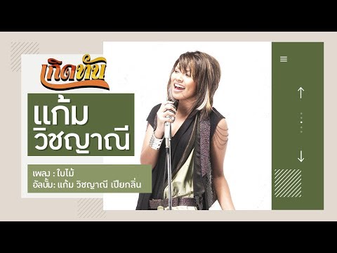 Lyrics“ใบไม้ (Bai Mai)” by Gam Wichayanee