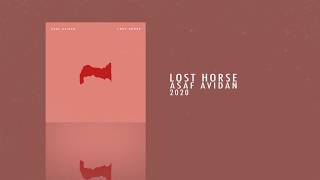 Musik-Video-Miniaturansicht zu Lost Horse Songtext von Asaf Avidan