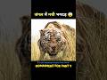 The Jungle Book Full Movie Hindi Dubbed Short Movie Movieexplained