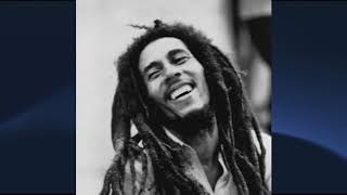 Bob Marley &amp; The Wailers   Wake Up And Live, Demo (lyrics)