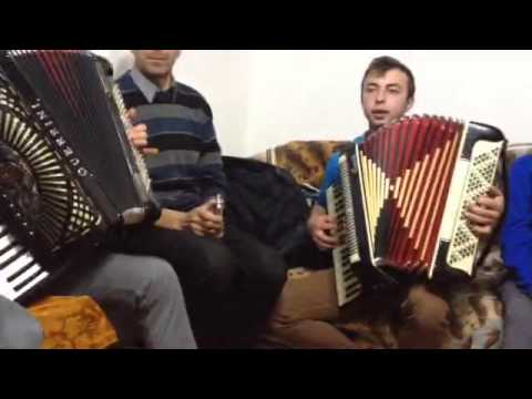 David Lela, Gabriel Cozmiuc, grupul din Bosanci si Botosani