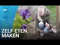 Deze school heeft een bos vol eetbare planten en bomen met vruchten