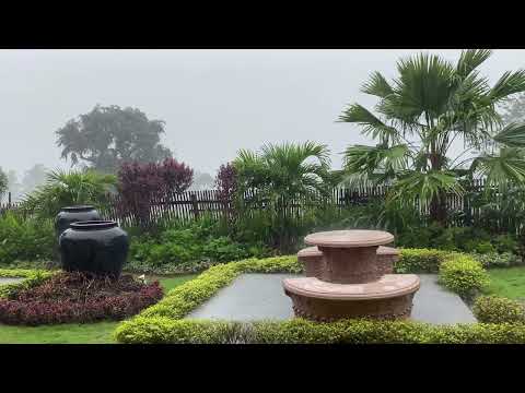 Pure Heavy Rain in Garden with Deep Thunder Sounds - Real Rain Sounds for Sleeping, Relaxing, Read