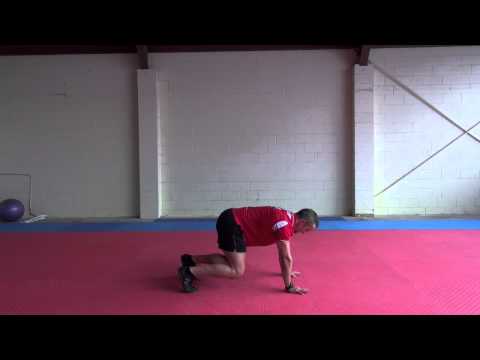 ZUU SIDE BEAR CRAWL