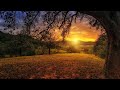 Relaxing Music Soothing Music Meditation Music Calm Music Sleep Music Study Music 09