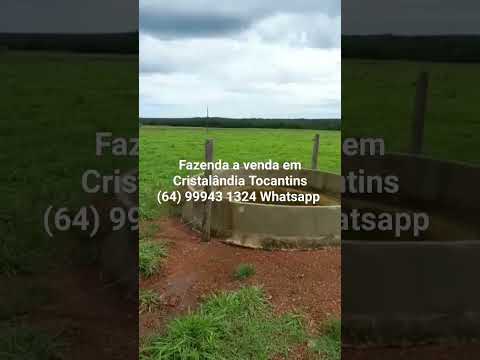 Fazenda a venda em Cristalândia Tocantins, #boigordo #agro #milho #soja #goiania #confinamento