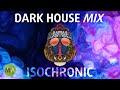 Deep Focus Dark House Upbeat Study Music Mandrill Mix Isochronic Tones