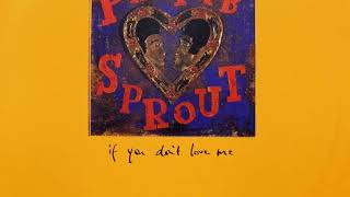 Prefab Sprout - If You Don't Love Me (Dubbish Mix) (1992)