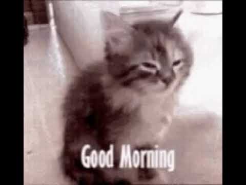 Good morning all of you