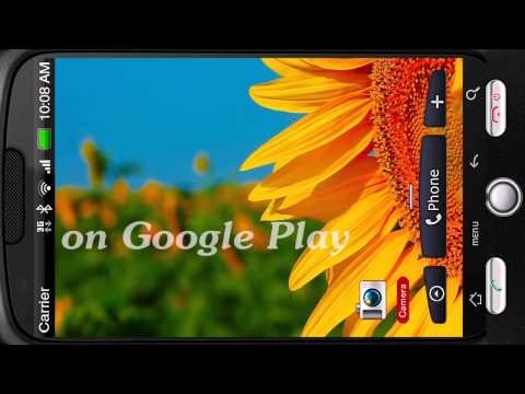 Incredible Flowering Sunflower Video
