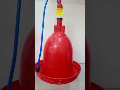 Automatic jumbo drinker