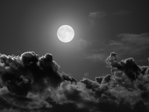 Espécimen - Criatura Nocturna - Versión Oficial