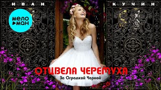 Иван Кучин – Отцвела черемуха за оградкой черной (Single 2024)