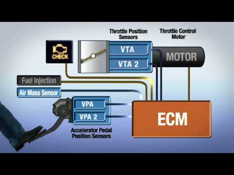 Electronic Throttle Control - Lexus