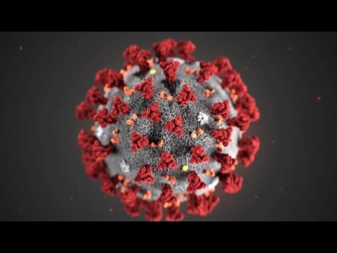 How to stay safe against measles after first confirmed case in SC