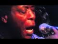 Buddy Guy - Let  Me  Show  You
