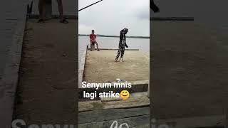 Download lagu senyum manis yg lagi strike😊 #garongernusantara #ikanbaronang #tegekmania #mancing #fishing mp3