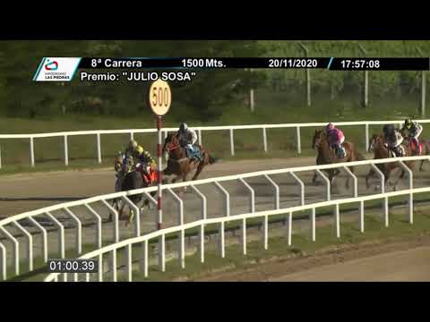 PREFERENCIAL "JULIO SOSA" 20/11/2020 - LO FELIPE - HIPODROMO LAS PIEDRAS