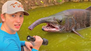I Found RARE Aquarium Fish Living in an Abandoned Pond!