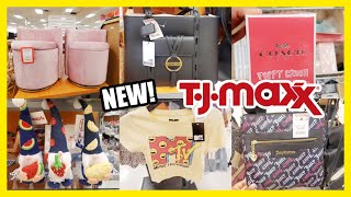 TJ MAXX SHOPPING LOVE MOSCHINO STEVE MADDEN JEWELRY DESIGNER FINDS AT DISCOUNT COME WITH ME