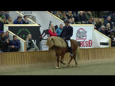 Hestar Jakob 1  sæti