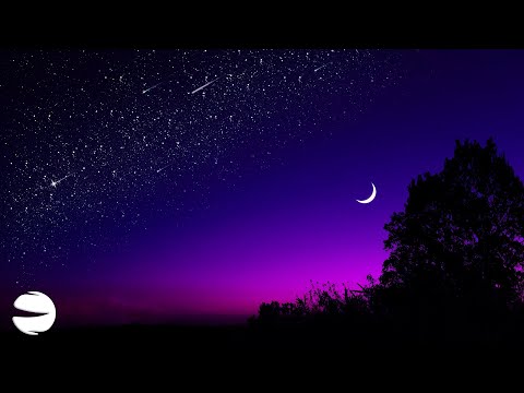 Misc - Happiness | Synire Release