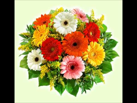 Happy Birthday Diotima