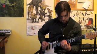 Video thumbnail for FoxRox Zim Drive Overdrive Pedal Demo by Chris Bieniek