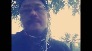 Download lagu Daun salam.. mp3