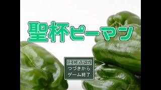 【実況】聖杯ピーマン