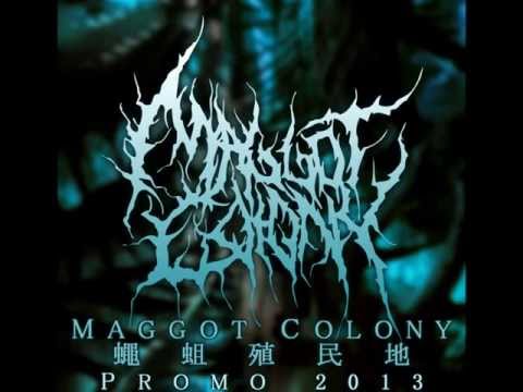 Maggot Colony - Perpetuating The Viral Infestation