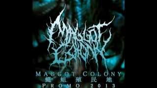 Maggot Colony - Perpetuating The Viral Infestation