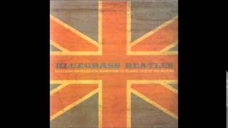 Bluegrass  Beatles - Love Me Do - Craig Duncan