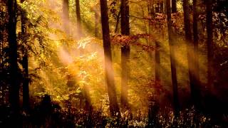 Angel Dreams - The Healing Song