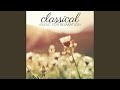 Symphony No. 4 in A Major, Op. 90 "Italian": II. Andante con moto