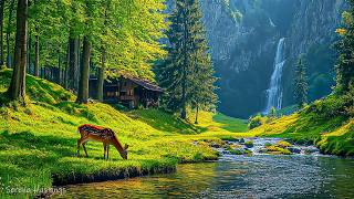 Beautiful Relaxing Music - Stop Overthinking, Stress Relief Music, Sleep Music, Calming Music #177