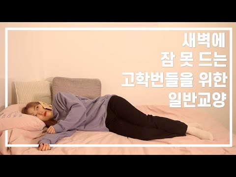 새벽에 잠 못 드는 고학번들을 위한 동국대학교 일반교양 추천🌠