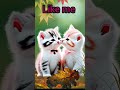 Ey Hasnain Ke Nana Milad Raza Qadri Cute Cat Naat Viral Viralshort Cat 009