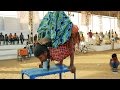 Indian Circus Street Show Circus Girl At Pushkar Fair India Indian Yoga Girl Acrobatic Gymnastics