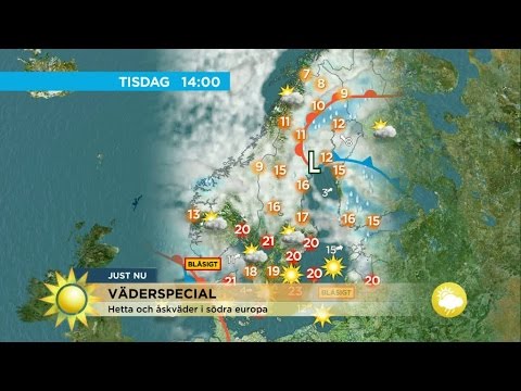 Väderspecial: Regn och åskskurar - Nyhetsmorgon (TV4)
