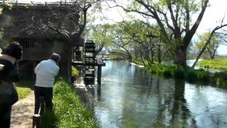 preview picture of video '日本 松本 大王WASABI農場 水車屋 watermill, Japan'